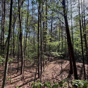 Photo #12 of Off of River Ridge Lane, Axton, VA 10.0 acres