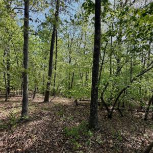 Photo #14 of Off of River Ridge Lane, Axton, VA 10.0 acres