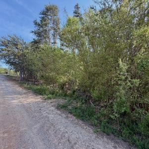 Photo #15 of Off of River Ridge Lane, Axton, VA 10.0 acres