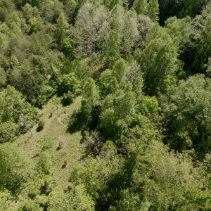 Photo #16 of Off of River Ridge Lane, Axton, VA 10.0 acres