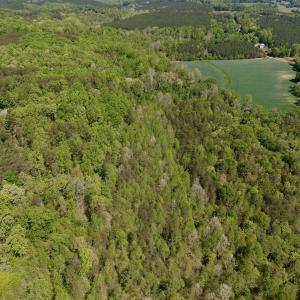 Photo #23 of Off of River Ridge Lane, Axton, VA 10.0 acres