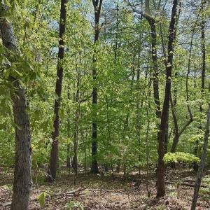 Photo #28 of Off of River Ridge Lane, Axton, VA 10.0 acres