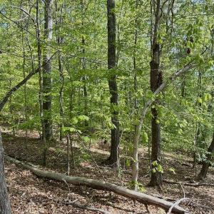 Photo #31 of Off of River Ridge Lane, Axton, VA 10.0 acres