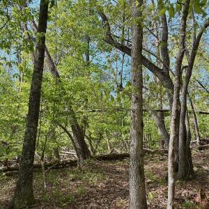 Photo #33 of Off of River Ridge Lane, Axton, VA 10.0 acres