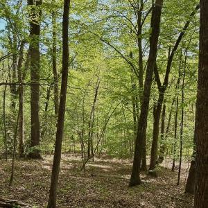 Photo #35 of Off of River Ridge Lane, Axton, VA 10.0 acres