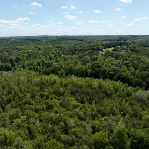 Photo #37 of Off of River Ridge Lane, Axton, VA 10.0 acres