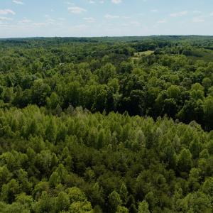 Photo #39 of Off of River Ridge Lane, Axton, VA 10.0 acres