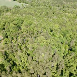 Photo #5 of Off of River Ridge Lane, Axton, VA 10.0 acres