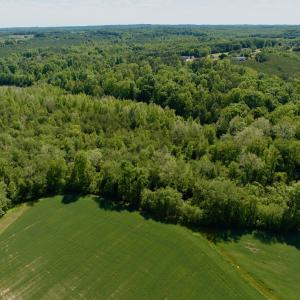 Photo #8 of Off of River Ridge Lane, Axton, VA 10.0 acres