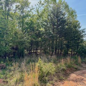 Photo #9 of Off of River Ridge Lane, Axton, VA 10.0 acres