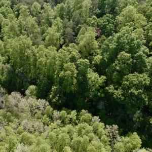 Photo #41 of Off of River Ridge Lane, Axton, VA 10.0 acres
