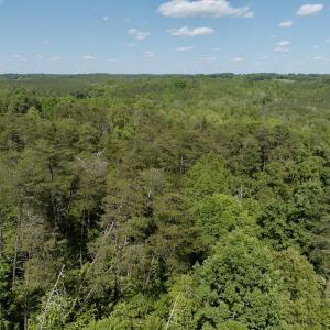 Photo #42 of Off of River Ridge Lane, Axton, VA 10.0 acres
