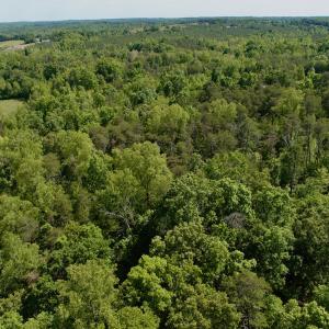 Photo #44 of Off of River Ridge Lane, Axton, VA 10.0 acres