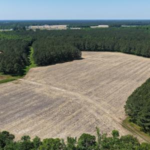 Photo #12 of Off of Kirkman Road, Stokes, NC 157.0 acres