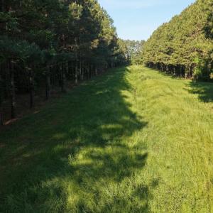 Photo #14 of Off of Kirkman Road, Stokes, NC 157.0 acres