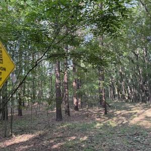 Photo #15 of Off of Kirkman Road, Stokes, NC 157.0 acres