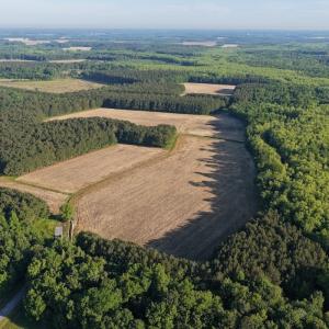 Photo #1 of Off of Kirkman Road, Stokes, NC 157.0 acres