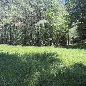 Photo #20 of Off of Kirkman Road, Stokes, NC 157.0 acres