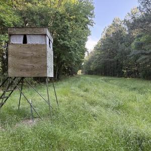 Photo #33 of Off of Kirkman Road, Stokes, NC 157.0 acres