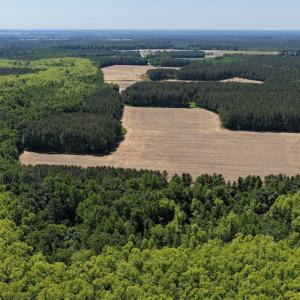 Photo #34 of Off of Kirkman Road, Stokes, NC 157.0 acres
