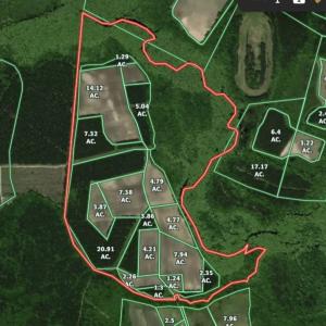 Photo #35 of Off of Kirkman Road, Stokes, NC 157.0 acres