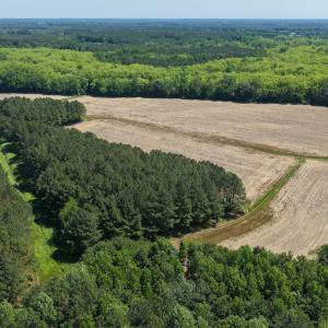 Photo #4 of Off of Kirkman Road, Stokes, NC 157.0 acres