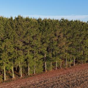 Photo #5 of Off of Kirkman Road, Stokes, NC 157.0 acres