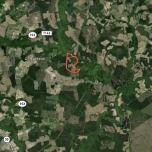 Photo #39 of Off of Kirkman Road, Stokes, NC 157.0 acres