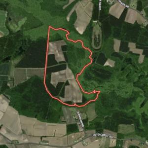Photo #38 of Off of Kirkman Road, Stokes, NC 157.0 acres