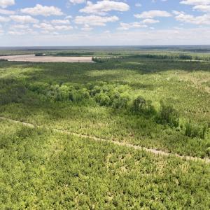 Photo #11 of Off Guinea Mill Rd, Ernul, NC 530.0 acres