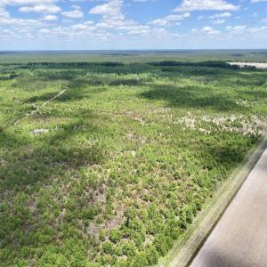Photo #18 of Off Guinea Mill Rd, Ernul, NC 530.0 acres