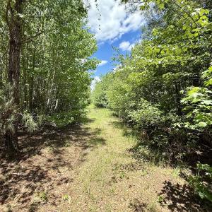 Photo #30 of Off Guinea Mill Rd, Ernul, NC 530.0 acres