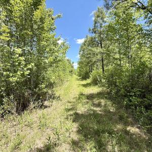 Photo #33 of Off Guinea Mill Rd, Ernul, NC 530.0 acres