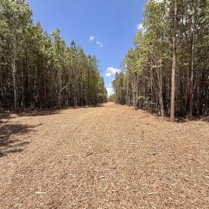 Photo #37 of Off Guinea Mill Rd, Ernul, NC 530.0 acres