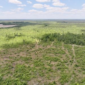 Photo #5 of Off Guinea Mill Rd, Ernul, NC 530.0 acres