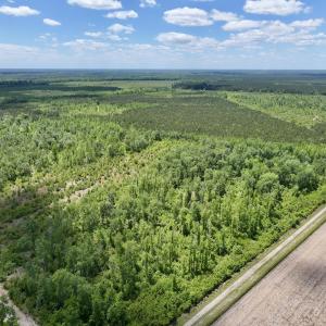 Photo #6 of Off Guinea Mill Rd, Ernul, NC 530.0 acres