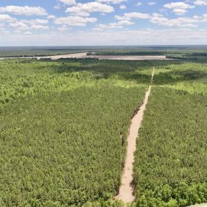 Photo #9 of Off Guinea Mill Rd, Ernul, NC 530.0 acres