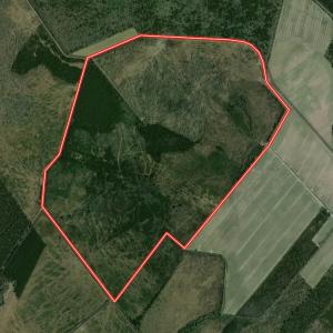 Photo #48 of Off Guinea Mill Rd, Ernul, NC 530.0 acres