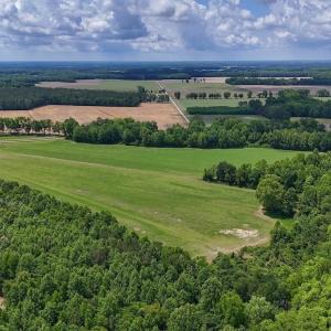 Photo #14 of 431 Icaria Rd, Tyner, NC 72.0 acres