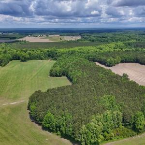 Photo #1 of 431 Icaria Rd, Tyner, NC 72.0 acres