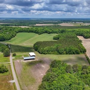 Photo #23 of 431 Icaria Rd, Tyner, NC 72.0 acres