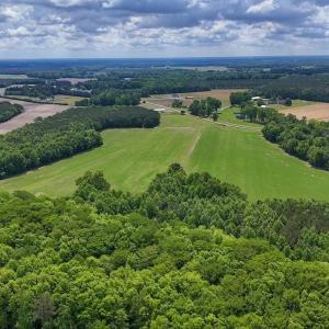Photo #24 of 431 Icaria Rd, Tyner, NC 72.0 acres
