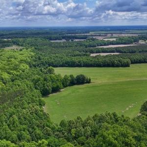 Photo #26 of 431 Icaria Rd, Tyner, NC 72.0 acres