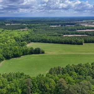 Photo #27 of 431 Icaria Rd, Tyner, NC 72.0 acres