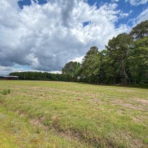 Photo #34 of 431 Icaria Rd, Tyner, NC 72.0 acres