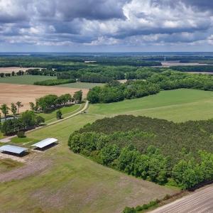 Photo #5 of 431 Icaria Rd, Tyner, NC 72.0 acres