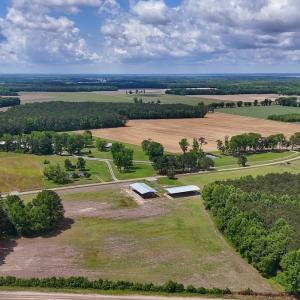 Photo #7 of 431 Icaria Rd, Tyner, NC 72.0 acres