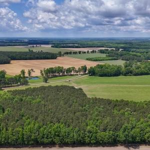 Photo #9 of 431 Icaria Rd, Tyner, NC 72.0 acres