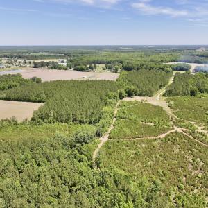 Photo #10 of Off of Skeeter Pond Rd, Grifton, NC 89.2 acres