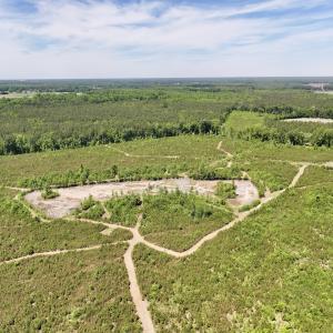 Photo #12 of Off of Skeeter Pond Rd, Grifton, NC 89.2 acres